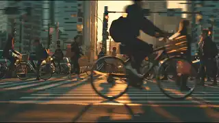부산 관광