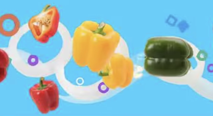 LOW FAT 햄버거
